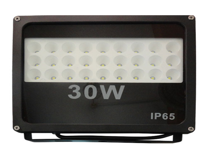 Reflector LED 30W, IP65-Plus0158