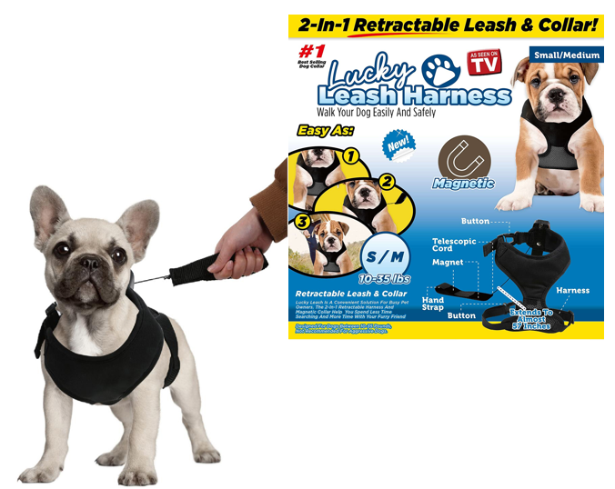 Lucky leash harness best sale